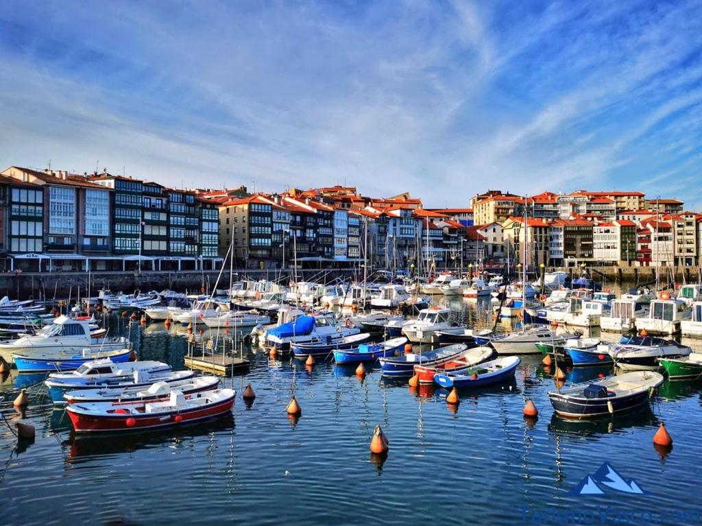 Coqueto Apartamento En El Casco Viejo Lekeitio Dış mekan fotoğraf